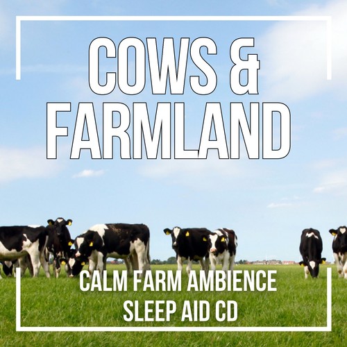 Farm ambience cows - cows, mooing