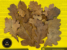 Pick mix aquarium leaves - pick,