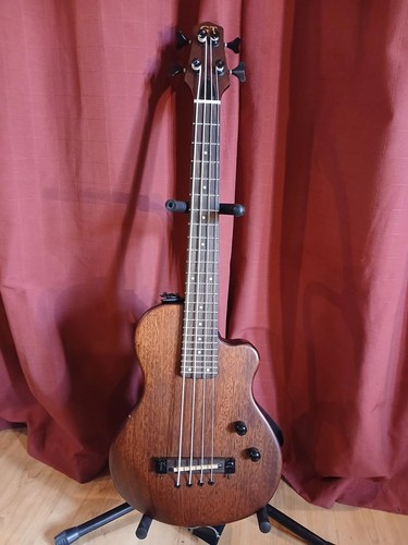 Gold tone bass - gold, me-bass