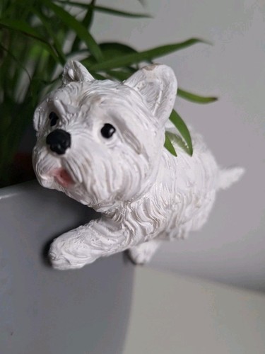 Garden pot westie dog - garden,
