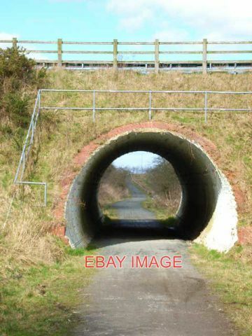 Photo castle eden walkway - eden,