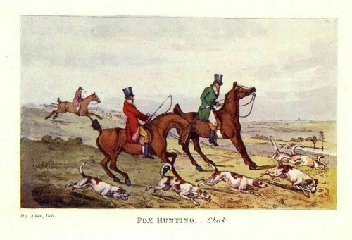 Fox hunting with hounds and - hunting,