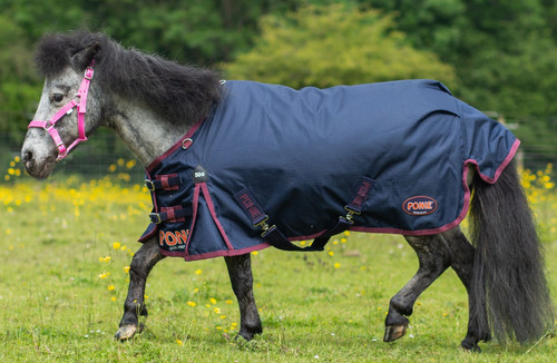 Gallop ponie standard neck - gallop, 50