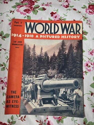 World war 1914 1918 pictured - world, a