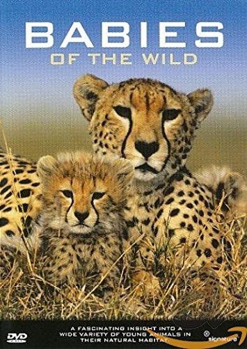 Babies the wild dvd - of, [dvd]