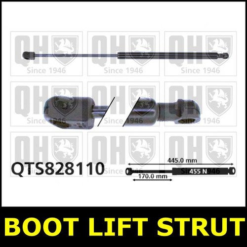Boot gas strut - boot, tailgate