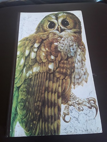 Book british birds - of,