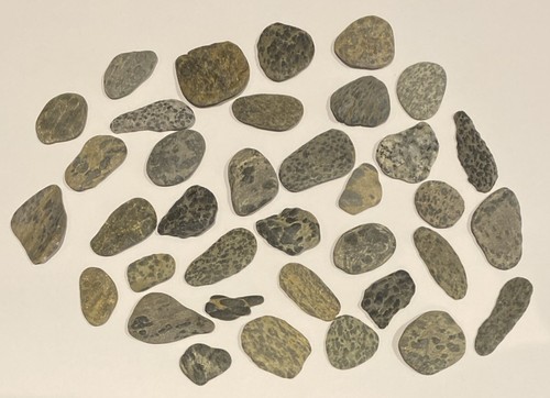 Flat beach pebbles - beach, sea