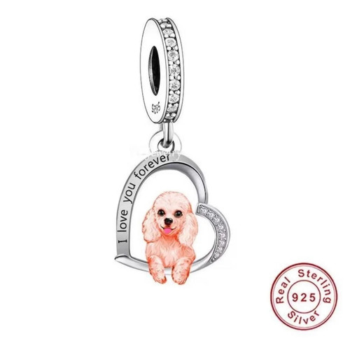 Miniature toy poodle - miniature,