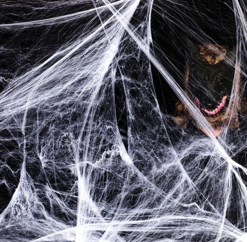 Halloweeen cobwebs with - cobwebs, 10