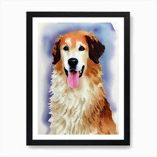 Kuvasz Watercolour Dog Art