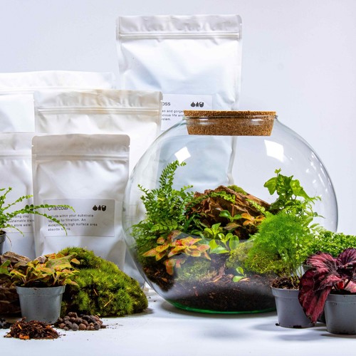 Large diy terrarium kit globe - kit,