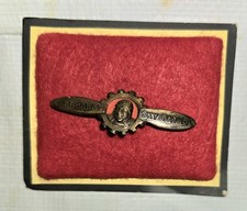 US  Air Force Captain Hawk Sky