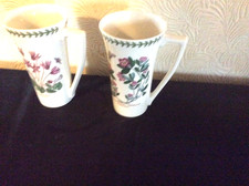 Portmeirion  Botanic Garden