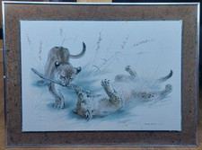 Original Vintage 'COMBAT' Lion Cub With Stick Print by Ralph Thompson