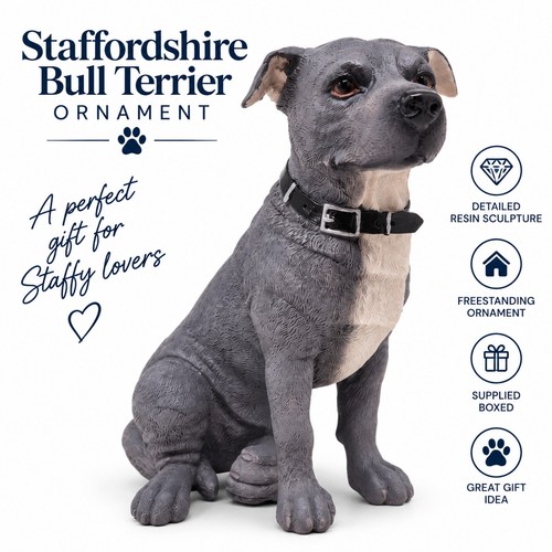Staffordshire bull terrier - staffordshire,