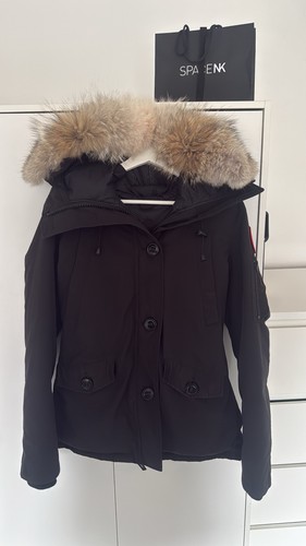 Canada goose montebello - canada, black