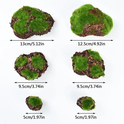 6pcs realistic moss - 6pcs,