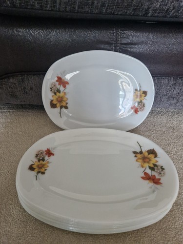 Jaj pyrex autumn - autumn, steak