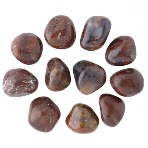 Petrified wood tumblestone - petrified,