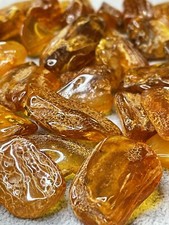 Natural Baltic Amber Tumble