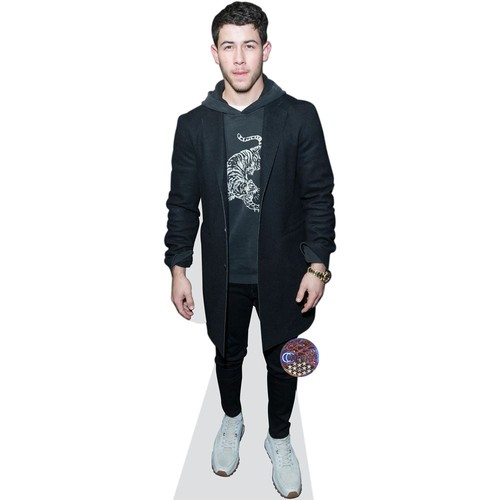 Nick jonas mini - nick,