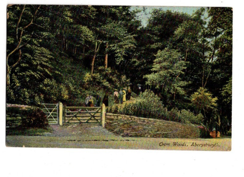 Aberystwyth cwm woods - cwm,