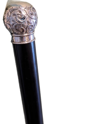 Antique walking stick dress - walking,