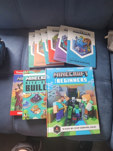 Selection minecraft - selection, of