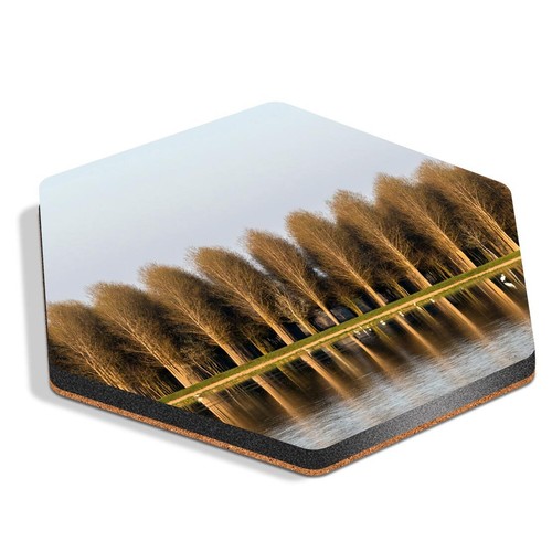 Hexagon mdf coaster poplar - hexagon,