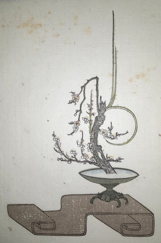 Ikebana plum print japanese - ikebana,