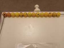 Set Of 14 Orange/yellow