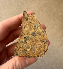 Meteorite HED Achondrite