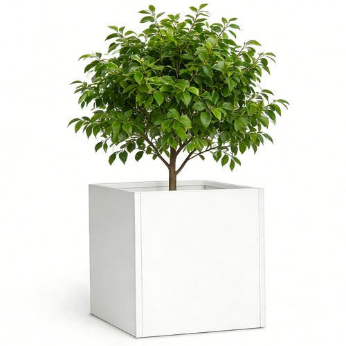 32x32x32 inch super large - 32x32x32,