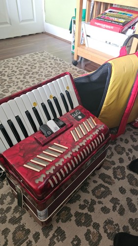 Bass piano accordion with - bass,