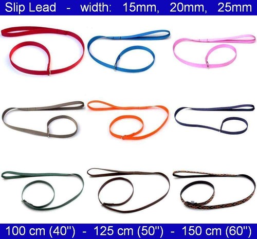 Dog slip lead width - slip, 15mm