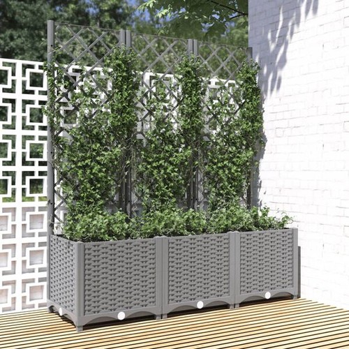 Light grey garden - light, with