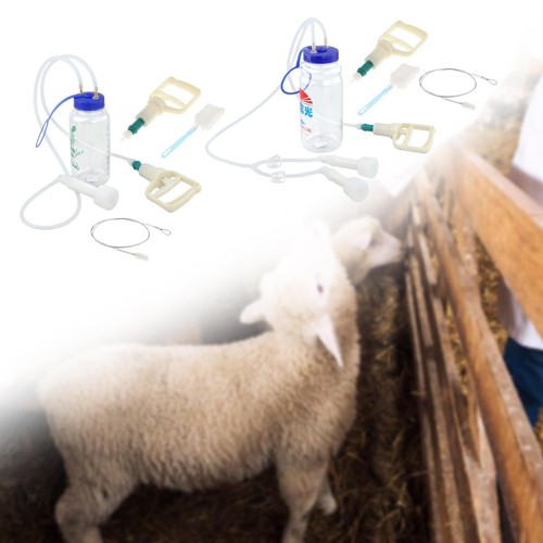 Goat milking machine - goat,