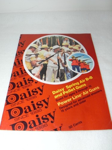 Vintage daisy spring air - vintage,
