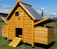 Chicken coop run hen - chicken, house