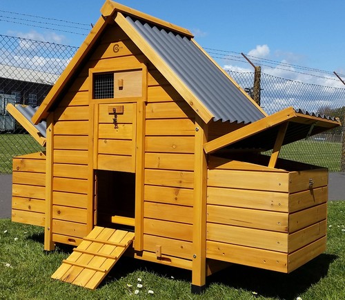 Chicken coop run - run, hen