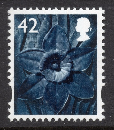 W102 xw66 42p - 42p, daffodil