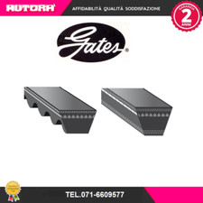 6221MC V-Belt (BRAND-GATES)
