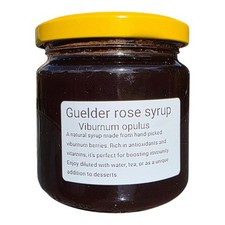 Guelder rose syrup 200ml - guelder,