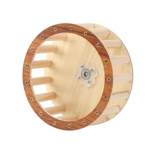 Parrot running wheel boredom - parrot,