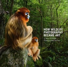 How Wildlife Photography