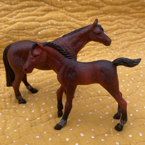 Aaa elc pony mare - aaa, horse
