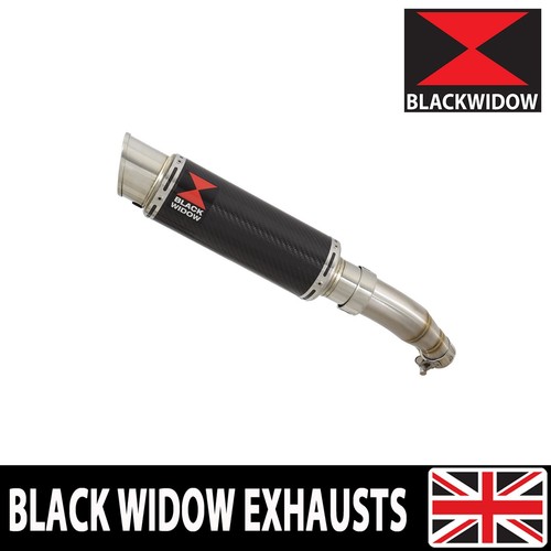 Ninja 250 exhaust - 250, z