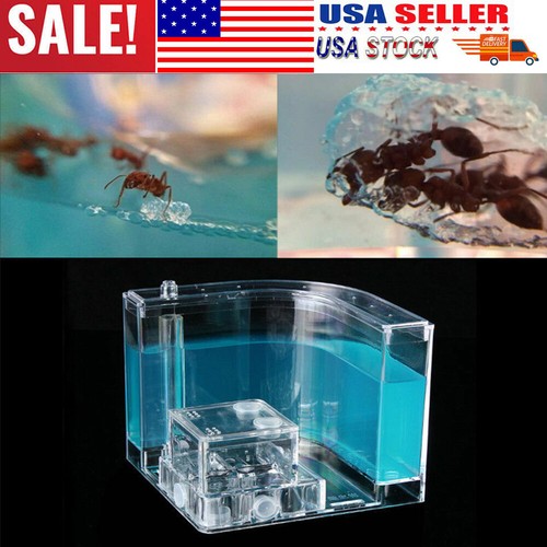 Ant farm castle blue - castle, gel