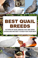 Best Quail Breeds: 10 Types Of